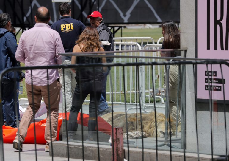 Dejan león muerto en el exterior del palacio presidencial de Chile