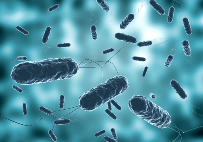Salud Pública notifica siete nuevos casos de Cólera; suman 42 contagios