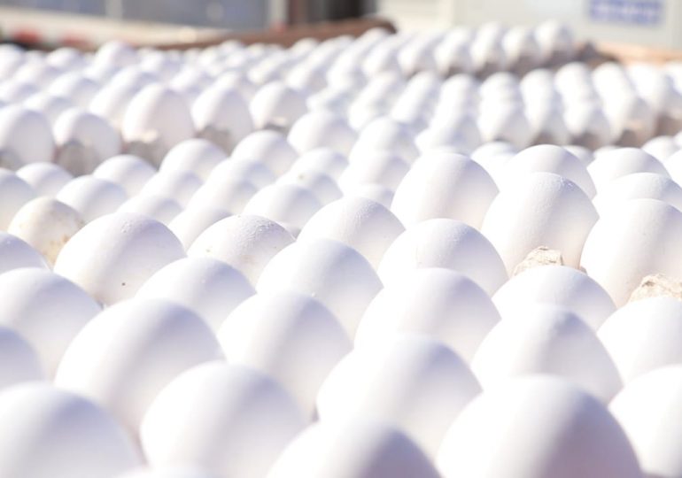 Asociación Dominicana de Avicultura garantiza abastecimiento de huevos en el país