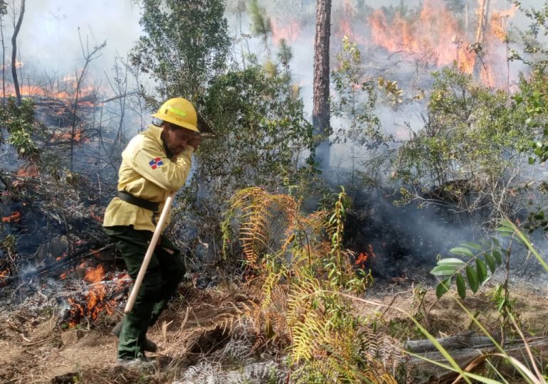 Medio Ambiente continúa velando por los bosques del país ante inicio de la temporada alta de incendios forestales