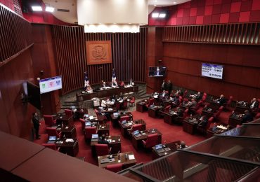 CIPAF califica como golpe a la institucionalidad reforma a la ley de régimen electoral aprobada por el Senado