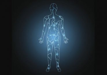  "Electroma" la red bioeléctrica del cuerpo humano que los científicos apenas comienzan a investigar 