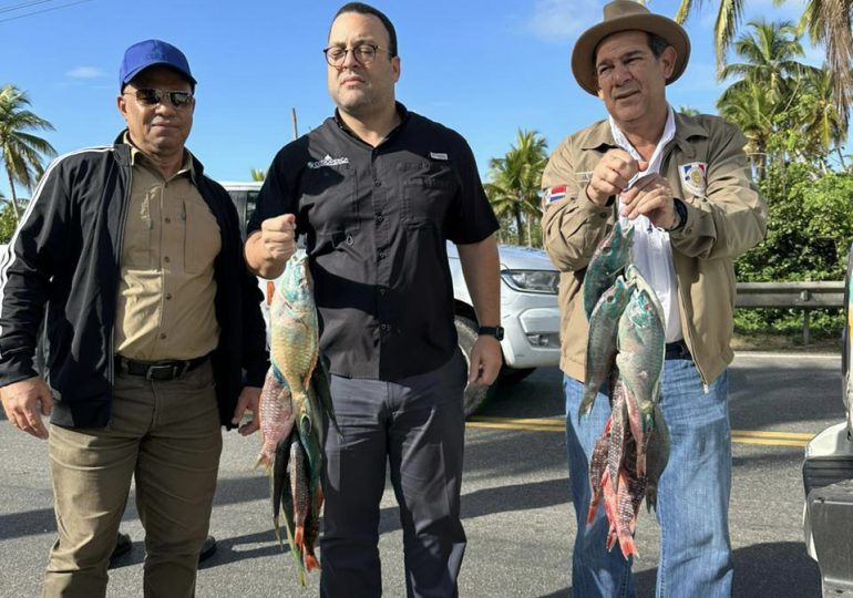 Gobierno realiza decomisos simultáneos de pez loro en diferentes provincias del país