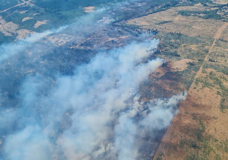 Chile confirma cuatro muertos por incendios forestales en el centro del país
