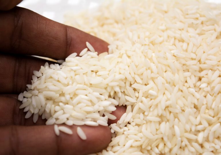 Preocupación por presencia de arsénico y metales pesados en arroz americano que se vende en RD