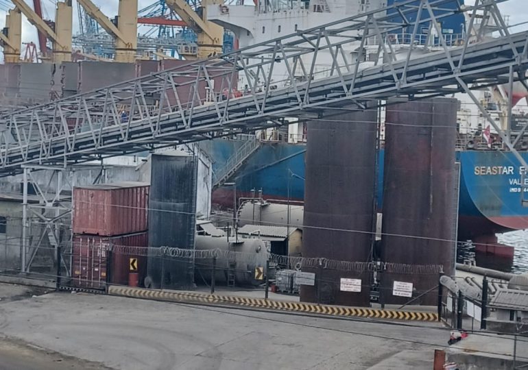 Desaprensivos roban más de 375 toneladas métricas harina de soja del puerto de Haina Occidental