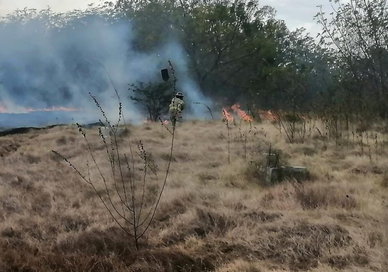 Incendios forestales en Valle Nuevo han disminuido; Medio Ambiente continúa labores para sofocarlo