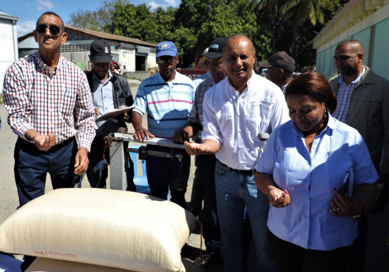 Agricultura inicia compra de semillas de habichuelas a los productores de San Juan