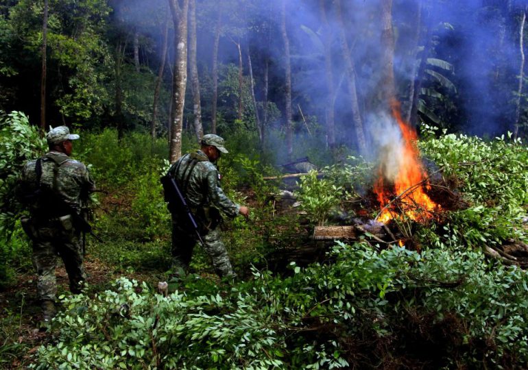 Soldados destruyen plantío de hoja de coca en el sur de México