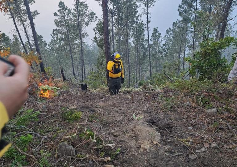 <strong>Medio Ambiente informa incendio forestal en Valle Nuevo está controlado </strong>