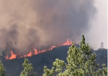 Video| Fuerte incendio en Constanza consume flora de montaña cerca de Villa Pajon