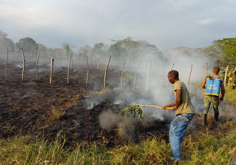 VIDEO | Hubieres pide a Medio Ambiente investigar fuegos forestales en Monte Plata