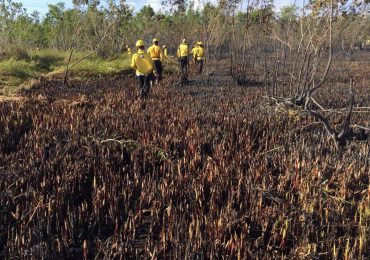 Ministerio de Medio Ambiente continúa atacando incendios en distintos puntos del país