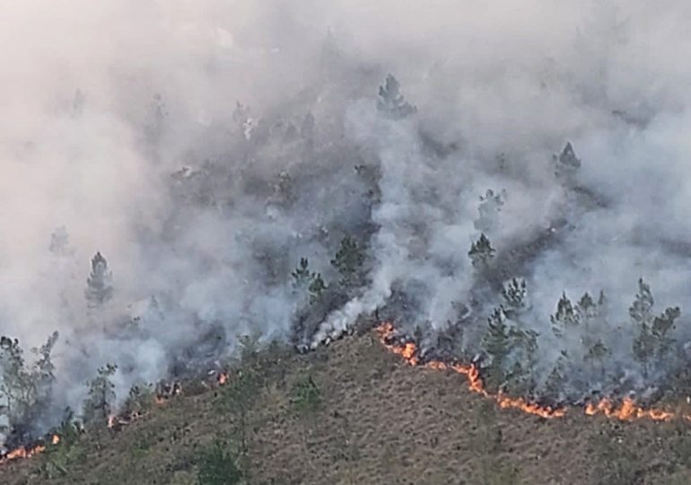 Incendio forestal en Valle Nuevo estaría neutralizado en las próximas horas, informa Medio Ambiente