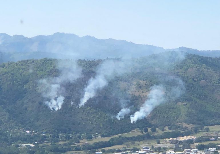 Medio Ambiente: Incendio forestal en Valle Nuevo sigue bajo control; estaría sofocado en las próximas horas