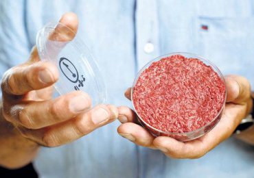 Aprueban proyecto de ley en Italia para prohibir la carne artificial