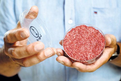 Aprueban proyecto de ley en Italia para prohibir la carne artificial