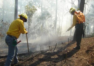 Medio Ambiente asegura incendios forestales desatados en distintos puntos del país están controlados