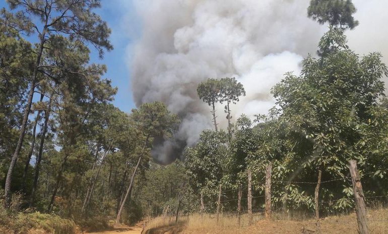 GALERÍA | Ministerio de Medio Ambiente se pronuncia ante incendio en Valle Nuevo