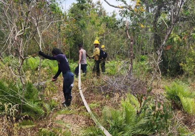 Medio Ambiente reitera llamado a la población a hacer correcto uso del fuego ante <strong>incendios forestales</strong>