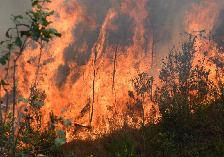 Más de 64.000 hectáreas de bosques quemadas este año en Honduras