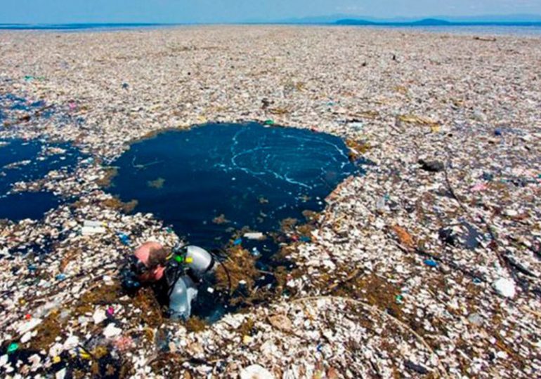 Especies marinas viven sobre basura en el Océano Pacífico