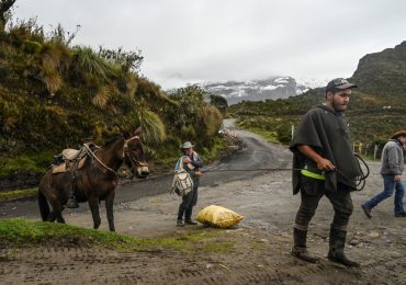 Evacuar o salvar sus animales, el dilema de campesinos junto a un volcán en Colombia