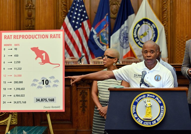 Nueva York designa una "zarina" para combatir plaga de ratas