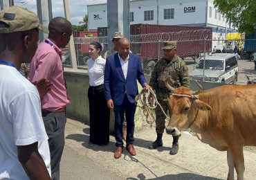 VIDEO | Consulado de RD en Juana Méndez entrega vaca a ganadero haitiano recuperada en territorio Dominicano