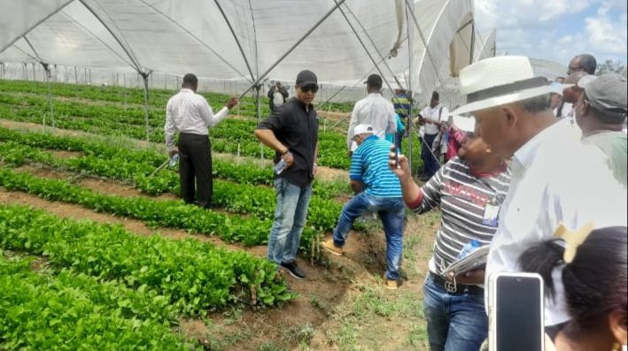 IAD construye varios proyectos para Invernaderos en Hato Nuevo Villa Linda