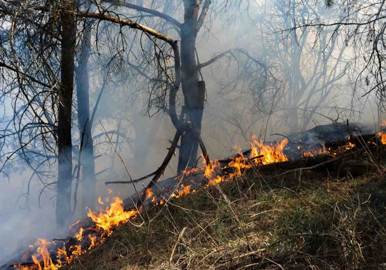 C5i y FF.AA se reúnen para la creación de un plan preventivo de incendios forestales