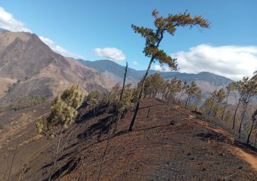 Medio Ambiente iniciará proceso de restauración por incendio en el Parque Nacional José del Carmen Ramírez