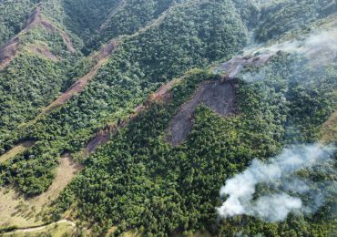 Medio Ambiente asegura tiene bajo control mayoría de incendios forestales