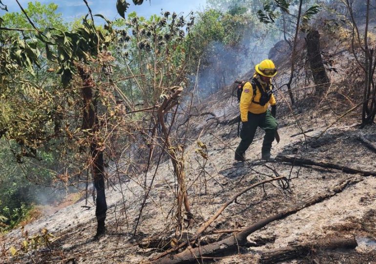 Identifican responsables de crear algunos incendios en zonas de República Dominicana