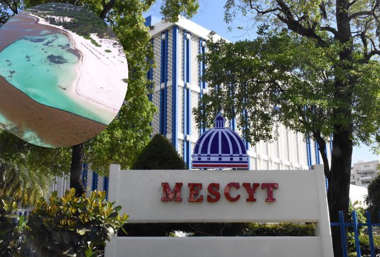 VIDEO | MESCYT abre convocatoria para recibir proyectos científicos sobre el sargazo
