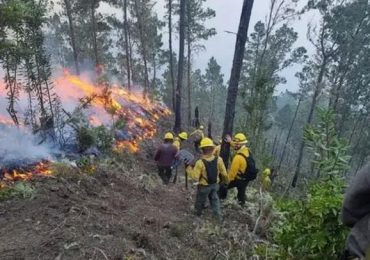 Imponen pago de 25 mil pesos por tala e incendios forestales en Bonao a nacional haitiano