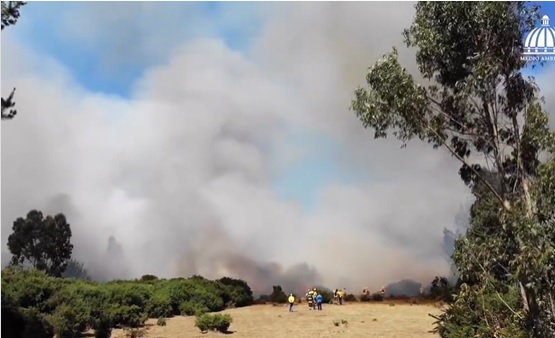 VIDEO | Medio Ambiente informa continúa trabajando en sofocar los incendios forestales