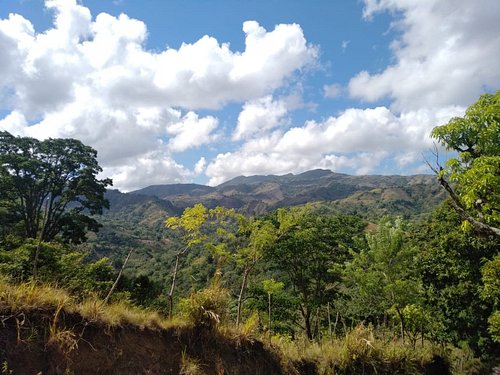 Medio Ambiente tomará acciones para proteger bosques de Santiago Rodríguez y Santiago
