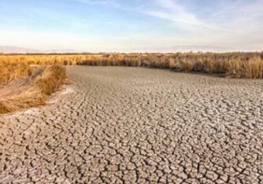 Cambio climático acelera frecuencia de las sequías repentinas, señala estudio