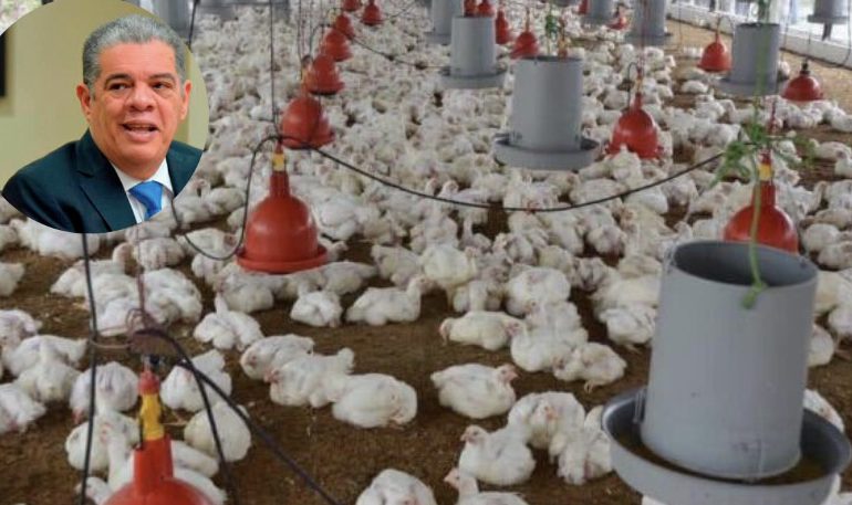 Carlos Amarante afirma gobierno oculta que en Moca, Guanábano y Salcedo existe gripe aviar