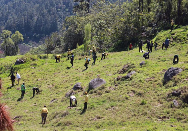 Medio Ambiente realiza jornada de reforestación en La Siberia con estudiantes de Constanza y la Academia de Ciencias