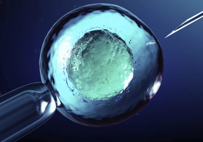 Nace primer bebé británico con ADN de tres personas