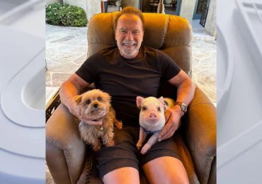 Arnold Schwarzenegger, el hombre rudo, tiene un cerdito de mascota