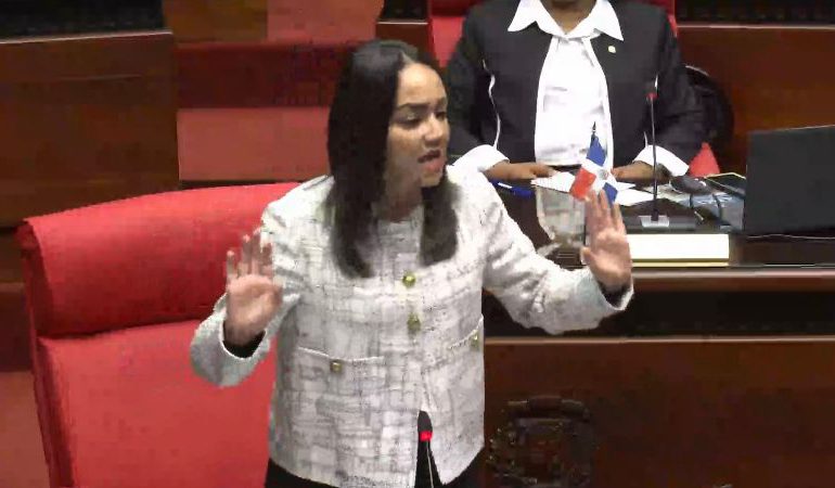 VIDEO | Faride Raful pide juicio político para el pleno de la Cámara de Cuentas