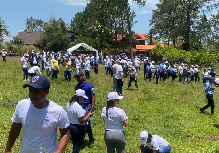 "MIP Verde” realiza sexta jornada de reforestación, en esta ocasión en Jarabacoa