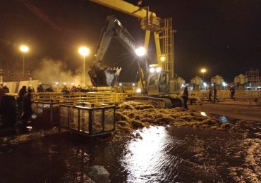 Video | Punta Catalina mantiene amplio equipo activo para contener impacto del sargazo