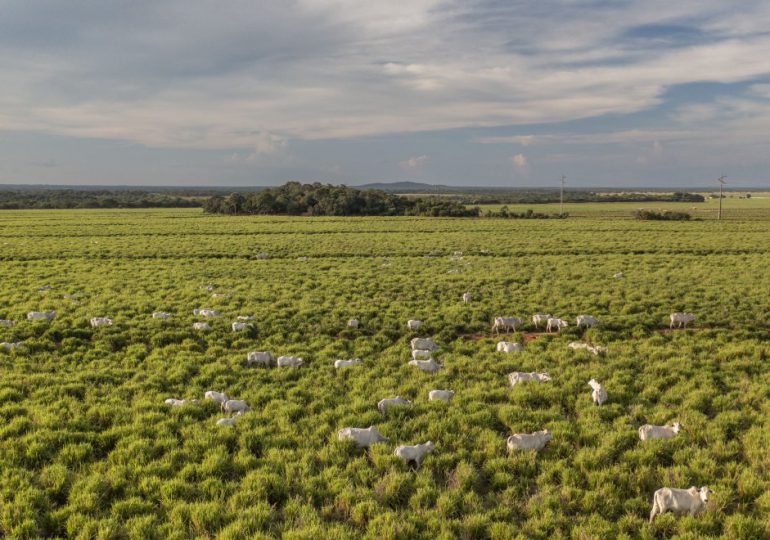 Fondo para una agricultura sostenible alcanza USD 13.000 millones