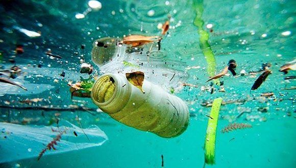 11 millones de toneladas de plástico se vierten en los océanos cada año, advierten en París