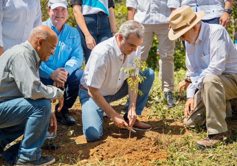 Sociedad civil, privados de libertad, empresas e instituciones gubernamentales sembrarán más de 16,000 plántulas el fin de semana