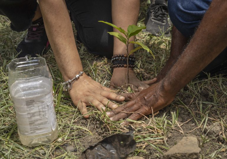 Servidores penitenciarios realizan jornada de reforestación en Santiago 